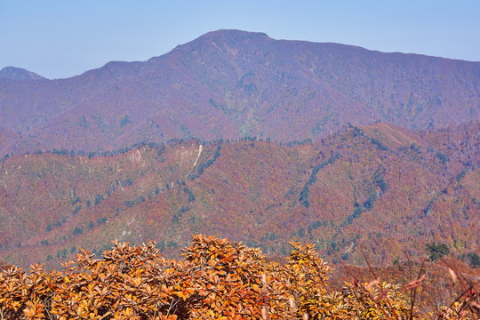 93 Best 枝折峠 Images Stock Photos Vectors Adobe Stock