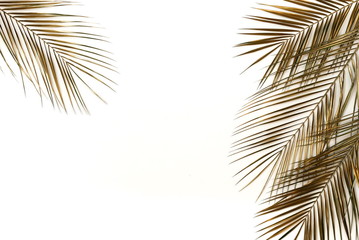Gold palm leaves plant pattern frame isolated on a white background. top view. copy space. abstract.