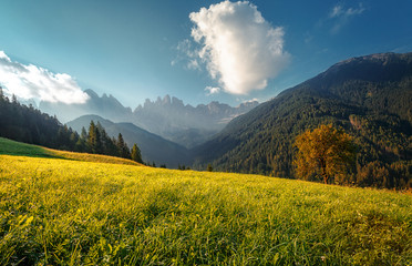 Awesome alpine highlands in sunny day. Alps mountain meadow tranquil summer view. Landscape with Fresh grass, perfect sky and rock mountains Dolomites under bright sunlight. Amazing Nature Scenery.