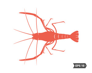 Shrimp logo design Vector. Isolated shrimp on white background. Prawns. Vector illustration.