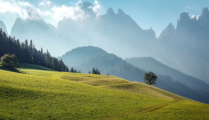 Idyllic landscape in the Alps with fresh green meadows. Scenic images of Dolomites Alps. Fantastic Sunny Morning over the mountains valley. Amazing alpine nature. Unsurpassed sunrise in the mountains