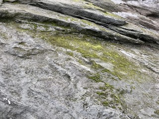 winding rock covered with shallow moss