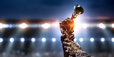 Fighting for victory. Mixed media