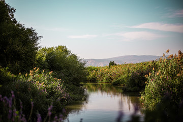 landscape with river and mountains in israel