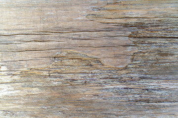 Fototapeta premium Old wood background. Textured wooden wall