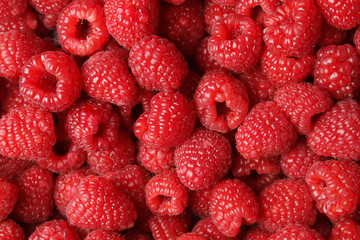 Raspberries. Fresh juicy raspberries bright background.