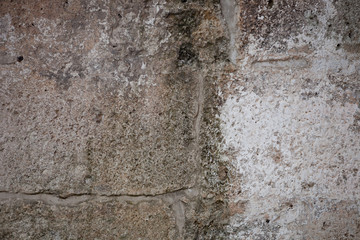 Rough weathered coquina limestone  wall surface texture close up