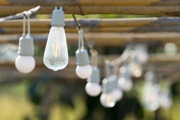 Light bulb hanging for illumination