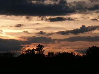 Coucher de soleil/ciel