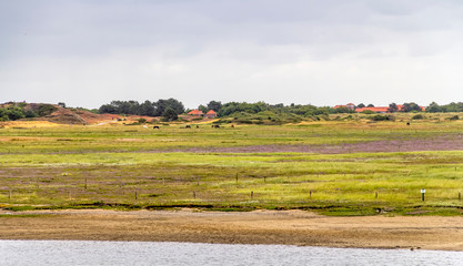 Spiekeroog in East Frisia