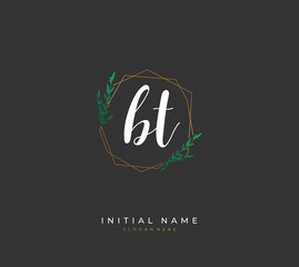 Handwritten initial letter B T BT for identity and logo. Vector logo template with handwriting and signature style.
