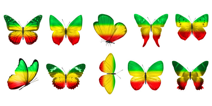Butterfly Set Isolated On A White Background. with wings of yellow, green, red. Rasta color.