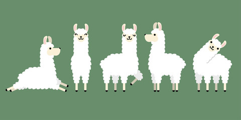 Set of cute white llama animal in different postures. Design for card, sticker , fabric textile, t shirt. children, kid modern trendy style. Vector illustration