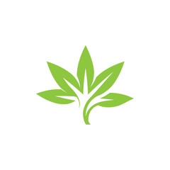 Leaf logo template, cassava leaf, weed, green herbal floral ornament vector