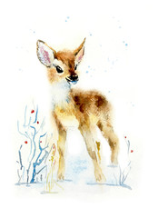 Deer cub. Winter greeting card. Watercolor hand drawn illustration.