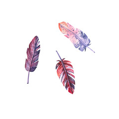 Set of watercolor feathers. Hand drawn illustration isolated on white. Icons of plumage are perfect for Valentine's Day design, greeting card, poster, wedding invitations, romantic wallpaper
