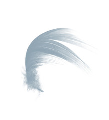 Obraz premium Beautiful baby blue colors tone feather floating in air isolated on black background
