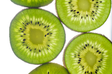 Fototapeta na wymiar round kiwi slices on a white background. Isolated on white close up