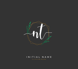 Handwritten initial letter N T NT for identity and logo. Vector logo template with handwriting and signature style.