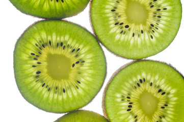 round kiwi slices on a white background. Isolated on white. close up