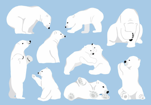 Simple white bear character.Vector illustration character doodle cartoon