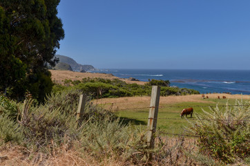 ranch on the ocean cliffs at the Notleys Landing (Big Sur, California)