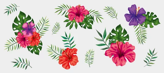 Fotobehang Tropische planten reeks bloemen met takken en bladeren tropisch vectorillustratieontwerp