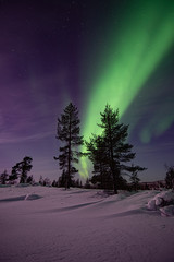 The Northern Lights in Lapland Finland January 2020