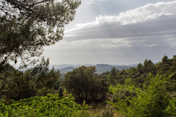 Fototapeta premium spanish landscape
