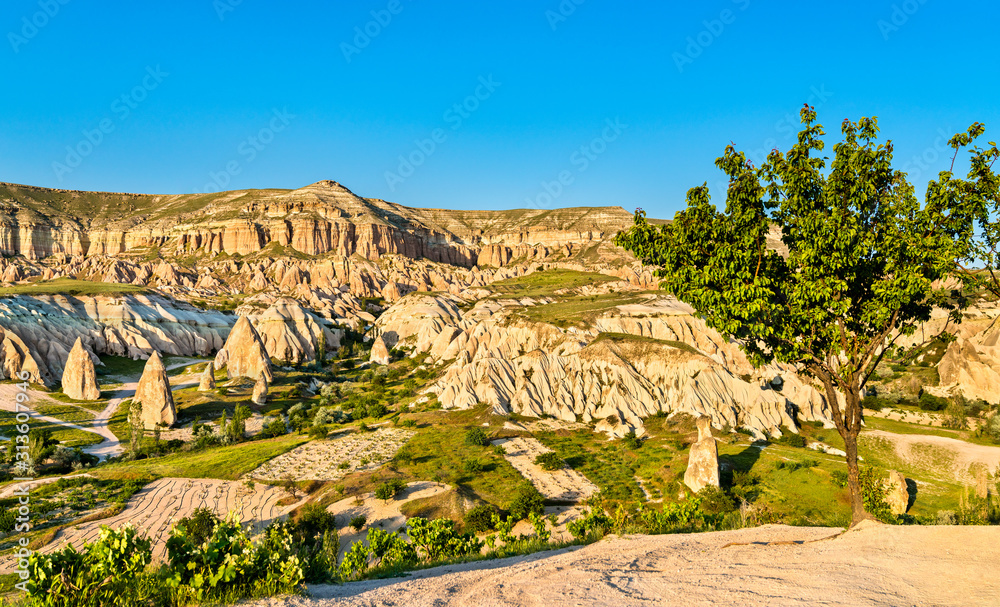 Poster rose valley at goreme national park in turkey