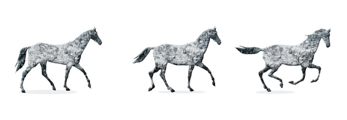 Horse gait, Three main gray horse gait: step, lynx, gallop.