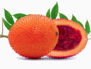 Gac fruit or baby jackfruit isolated on white background