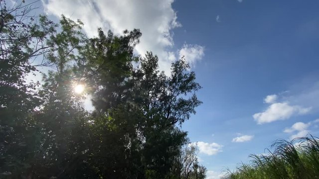 田舎を散歩
