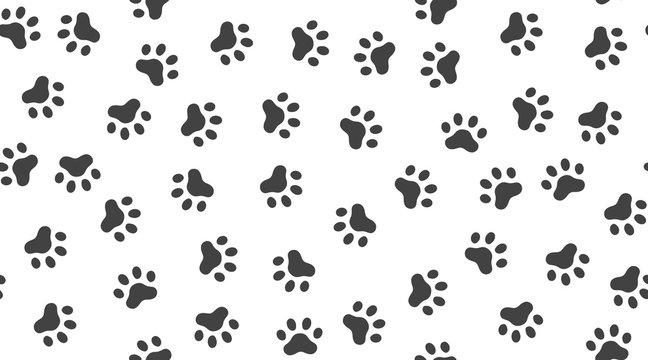 Pet paw vector seamless pattern with flat icons. Black white color animal tracks texture. Dog, cat footprint background, abstract foot print silhouette wallpaper for veterinary clinic