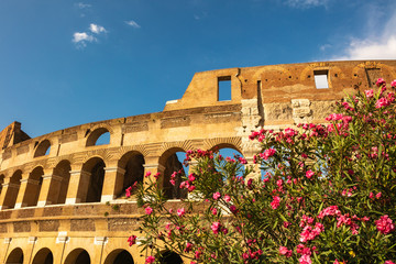Obraz premium The Colosseum behind some beautiful flowers, Rome, Italy