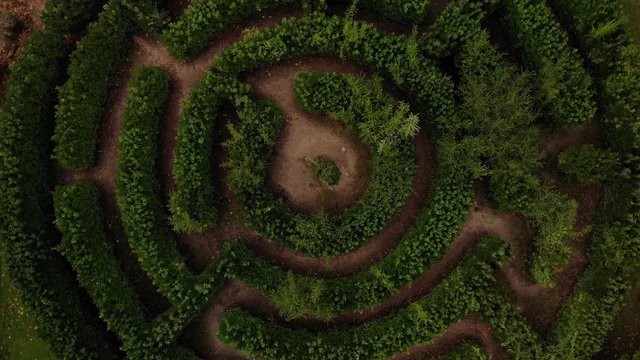 Spinning above the garden labyrinth