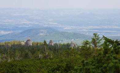 Karkonosze - Polish mountains. Mountains, trails and vegetation in the summer. - 313610347