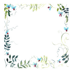 Square frame from sweet pea. Watercolor hand drawn illustration. White background