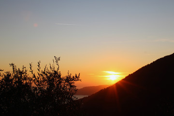 Fototapeta premium Tramonto marino con fronda e collina