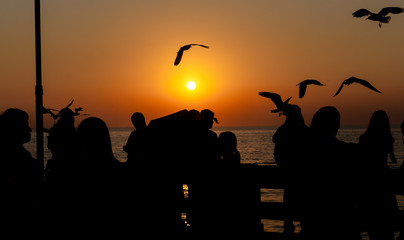 silhouette people taking seagull photo with sunset at Bang Pu Resort, Thailand. decoration image contain certain grain  noise and soft focus.