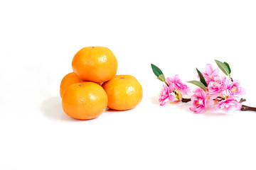 Happy chinese new year or lunar new year. flowers of good fortune and oranges.