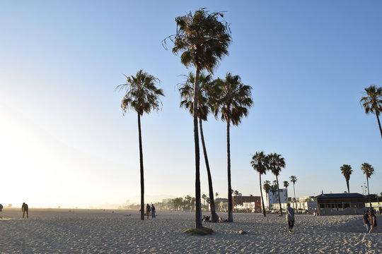 Santa Monica Beach - Los Angeles