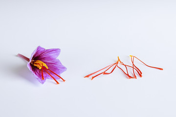 Fresh saffron flower and dried saffron threads on a white background.