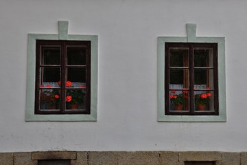 Dark brown wooden windows with red geraniums and with the frame around in an old house