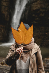 girl holds a large autumn leaf in her hand and covers her face with a waterfall and autumn forest - 313616379