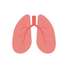 Lungs icon, flat style. Internal organs of the human design element, logo. Anatomy, medicine concept. Healthcare. Isolated on white background. Vector illustration