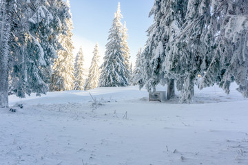 Carpathian mountain. Majestic winter landscape. Christmas time. Ukraine, Europe