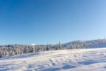 Fototapeta na wymiar Carpathian mountain. Majestic winter landscape. Christmas time. Ukraine, Europe