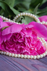 Bead pearl necklace with peony flower. Close-up.