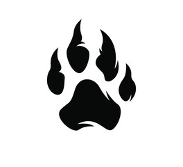 Footprints of a big cat. Paw tiger. Vector © Noctwork